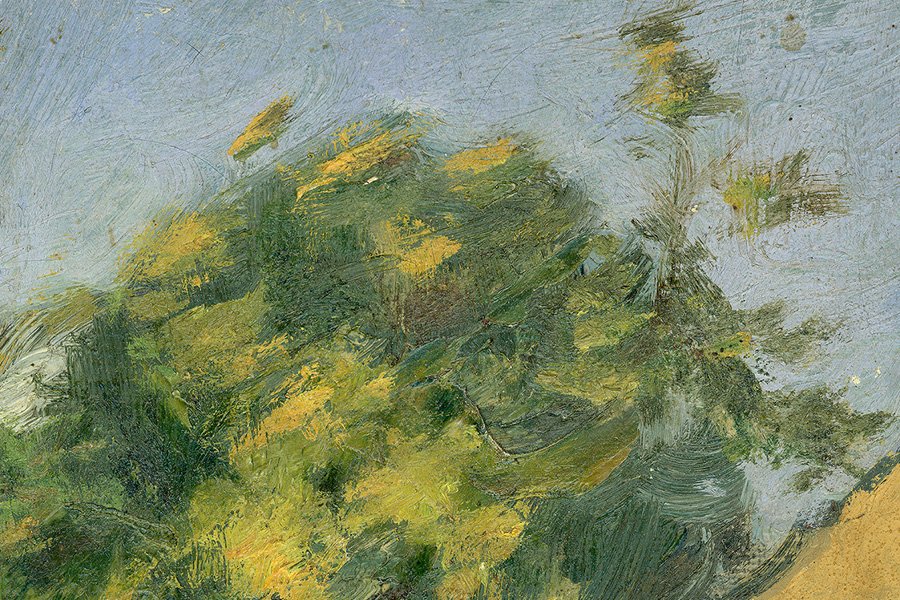 Van Gogh View of Paris